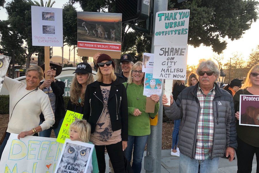 Call to Action by July 10th: Poison Free Malibu Urges Community Members to Support New Policy Banning Harmful Pesticides Severely Impacting Environmentally Sensitive Habitat, Wildlife and Ocean Quality