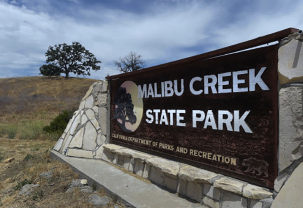 Young Boy Attacked by Mountain Lion at Malibu Creek State Park, Activists Outraged at Ranger for Euthanizing Lion by Firearm