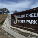 Young Boy Attacked by Mountain Lion at Malibu Creek State Park, Activists Outraged at Ranger for Euthanizing Lion by Firearm